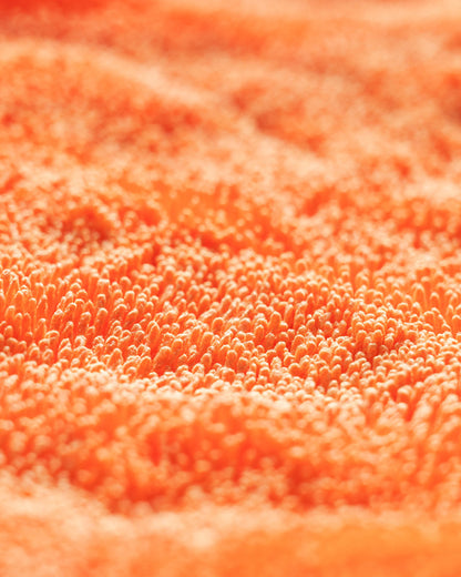 CARPRO DHydrate BOLD Drying Towel